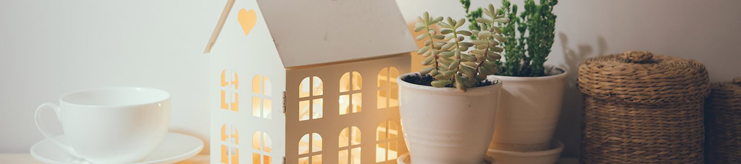 guide to Letting Property